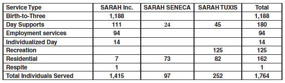 Service Stats Chart from 2019 Annual Report